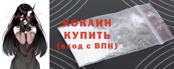 ECSTASY Пересвет