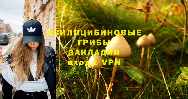 бутират Пестово
