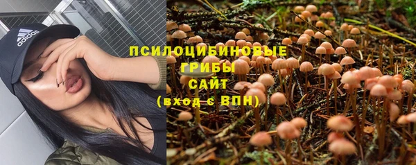 героин Алексин