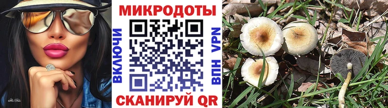 наркота  Михайловск  Галлюциногенные грибы прущие грибы 