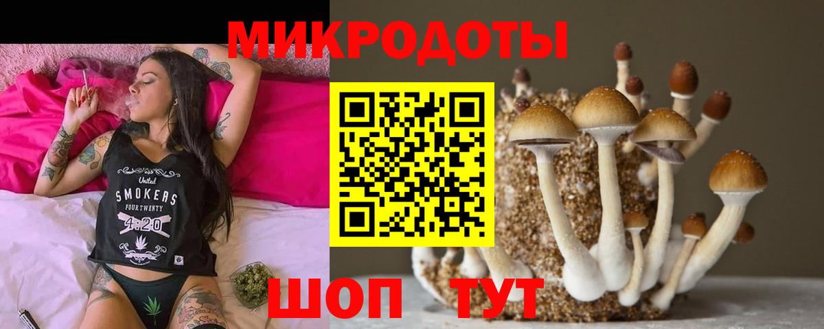 Псилоцибиновые грибы Cubensis  Вход с VPN  Михайловск 